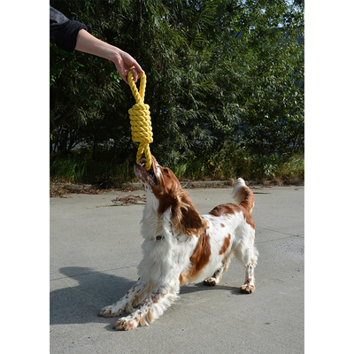 305/468715 Köpek Dental Sarı Halat, Oyun İpi Oyuncak 32 cm - Thumbnail