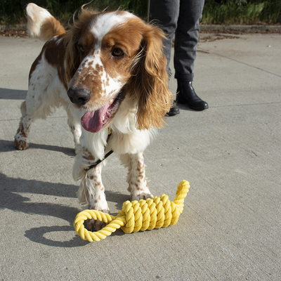 305/468715 Köpek Dental Sarı Halat, Oyun İpi Oyuncak 32 cm - Thumbnail