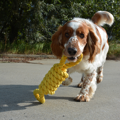 305/468715 Köpek Dental Sarı Halat, Oyun İpi Oyuncak 32 cm - Thumbnail