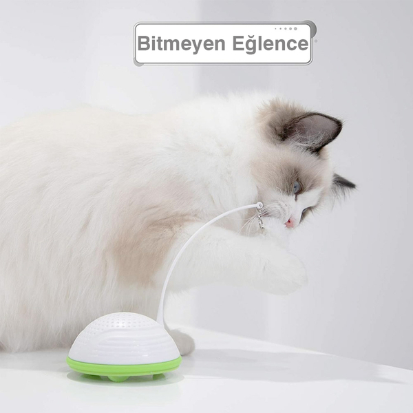 9022 Otomatik Kedi Oltası