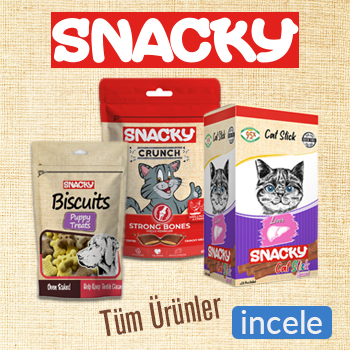 snacky-banner-s.jpg (179 KB)