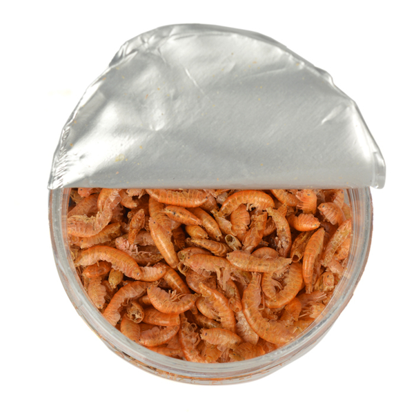 Aqua Magic Gammarus (Karides) 200 ml 30 gr 6 Adet