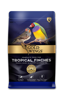 Gold Wings Premium - Premium Bülbül 1 kg 6'lı
