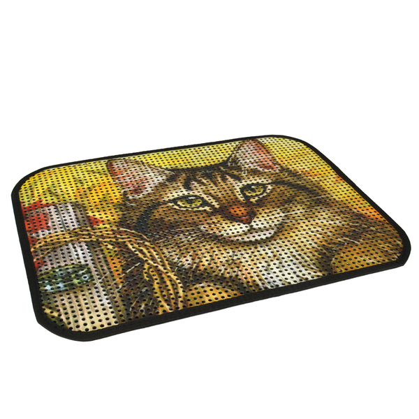 Resimli Lux Kedi Kumu Toplama Paspası 60*45 cm