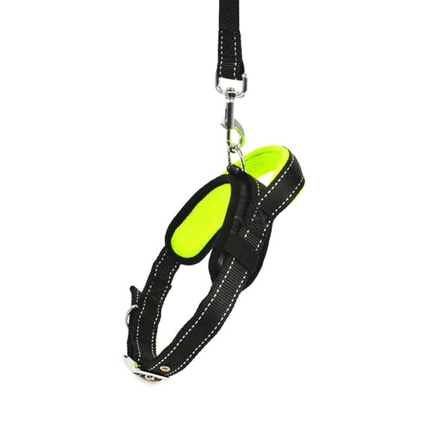 SLL 116 Gezdirme+Boyun Tasması Tkm.2cm-120 cm